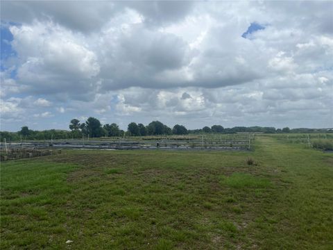8737 HOLOPAW GROVES ROAD SAINT CLOUD FL 34773