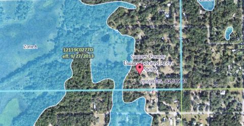 Tiny photo for 11094 SW 51st Drive, Webster, FL 33597 (MLS # W7877527)