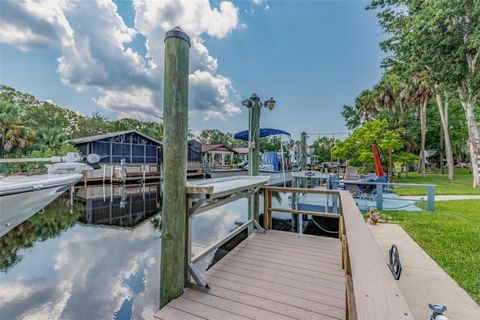 Tiny photo for 11456 W Clubview Drive, Homosassa, FL 34448 (MLS # OM707924)