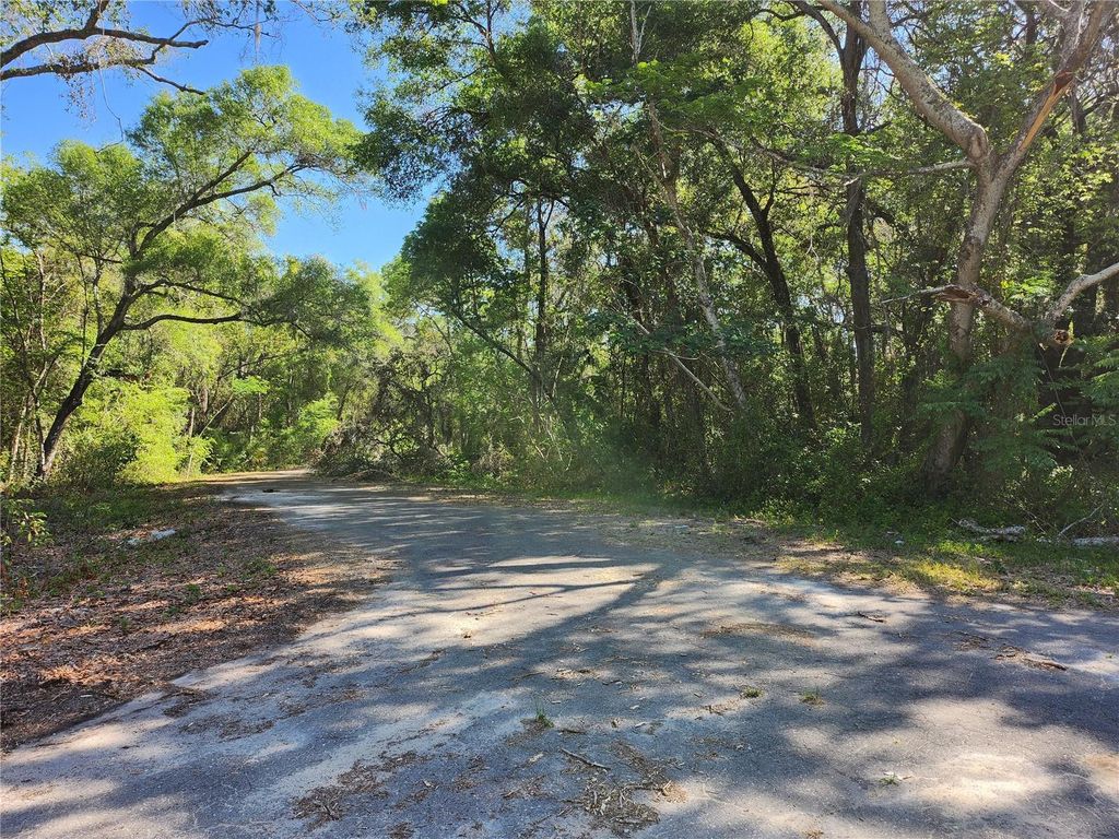 Photo of Tbd Guava Terr Loop, Ocklawaha, FL 32179 (MLS # OM699891)
