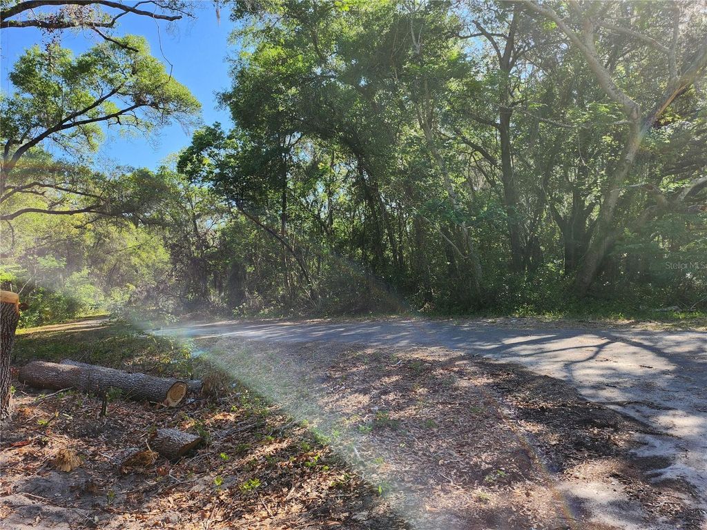 Photo of Tbd Guava Terr Loop, Ocklawaha, FL 32179 (MLS # OM699891)