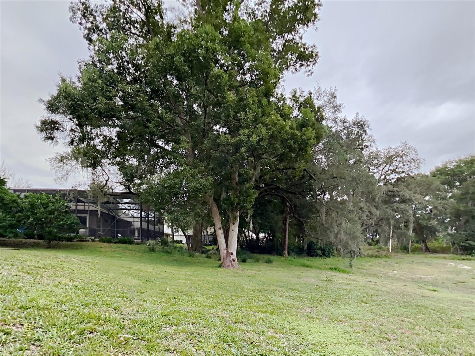 STONEYWOOD PH 11 - Residential