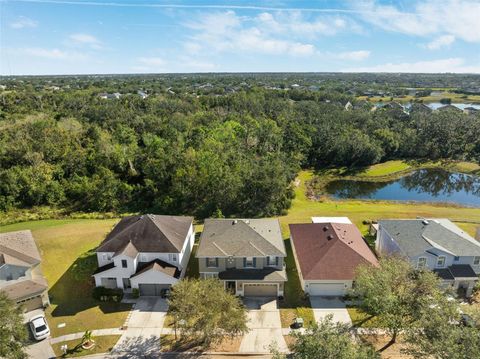 A home in RIVERVIEW