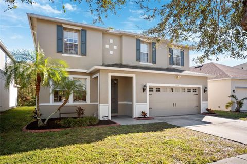 A home in RIVERVIEW