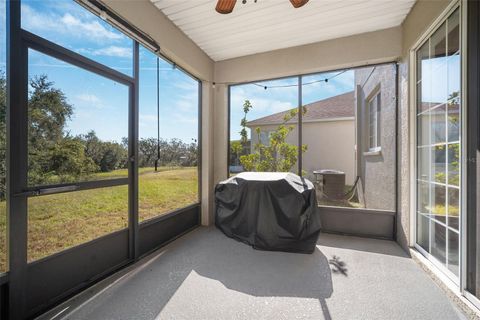 A home in RIVERVIEW