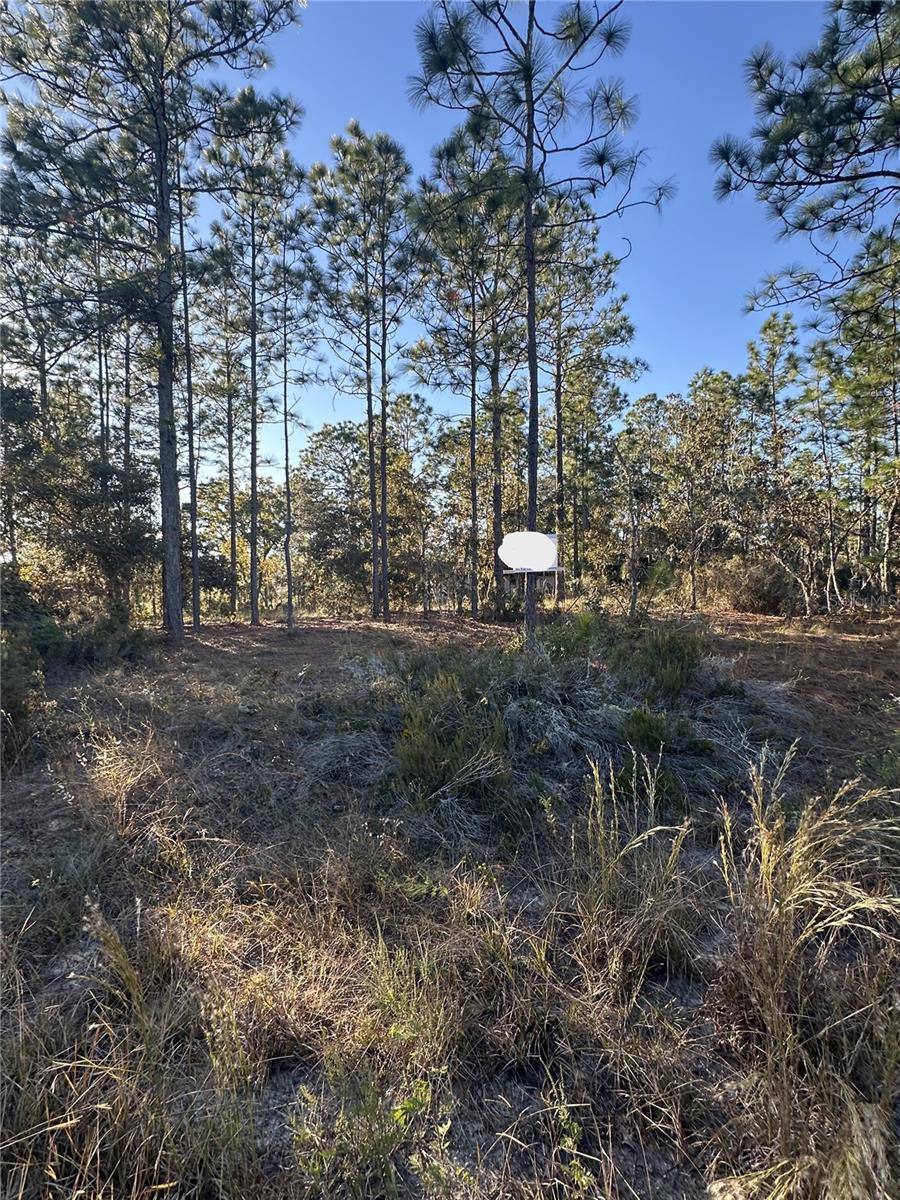 WILLISTON HYLNDS GOLF & C CLUB ESTATE - Land