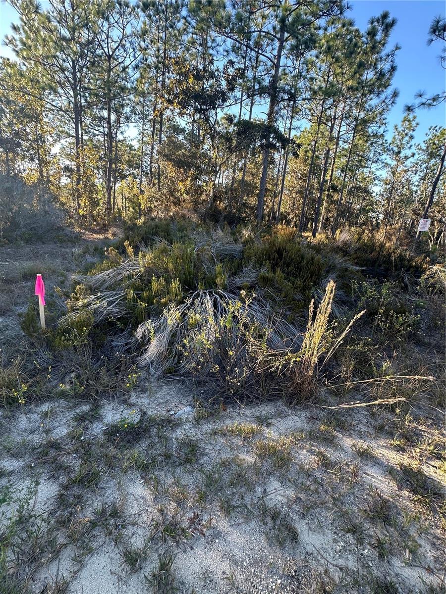 WILLISTON HYLNDS GOLF & C CLUB ESTATE - Land