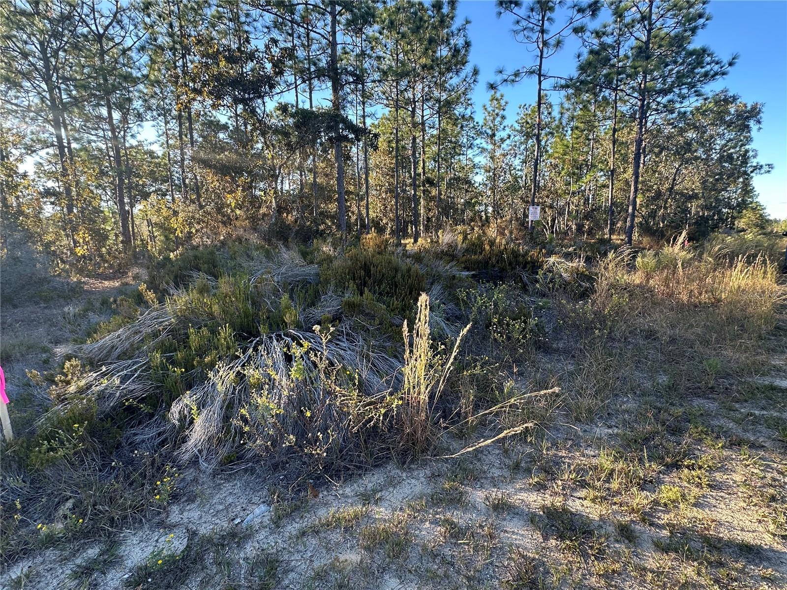 WILLISTON HYLNDS GOLF & C CLUB ESTATE - Land