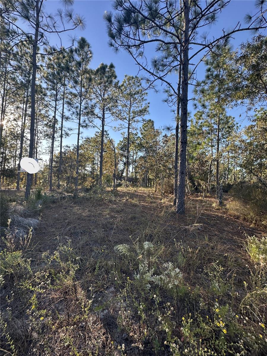 WILLISTON HYLNDS GOLF & C CLUB ESTATE - Land