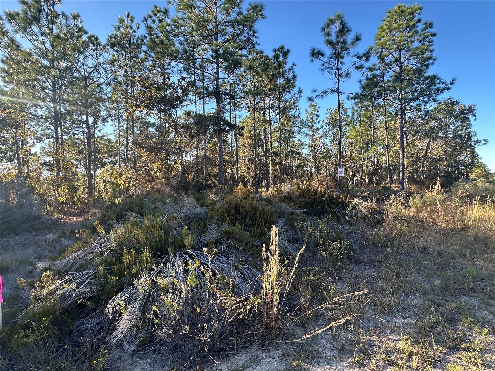 WILLISTON HYLNDS GOLF & C CLUB ESTATE - Land