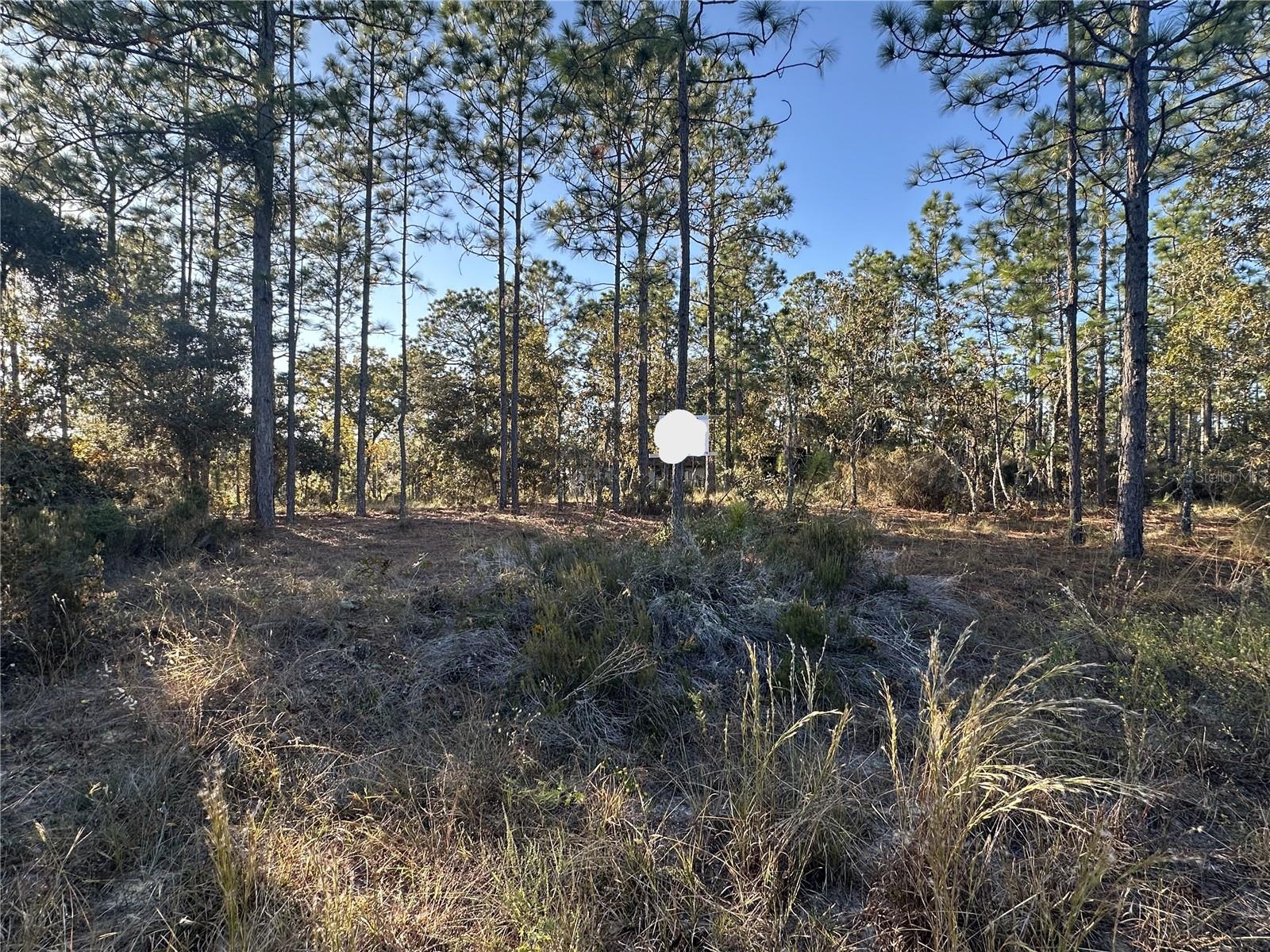 WILLISTON HYLNDS GOLF & C CLUB ESTATE - Land