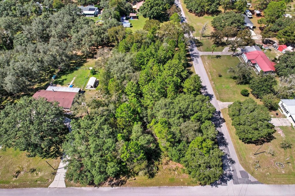 Photo of 6080 S Esmeralda Terrace, Lecanto, FL 34461 (MLS # W7879756)