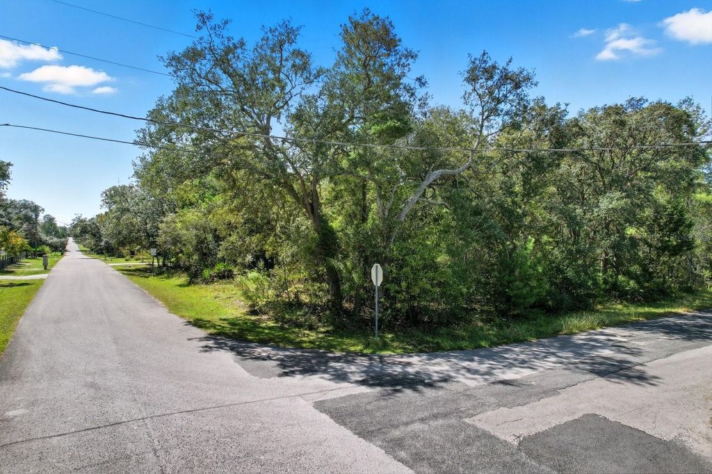 Photo of 6080 S Esmeralda Terrace, Lecanto, FL 34461 (MLS # W7879756)