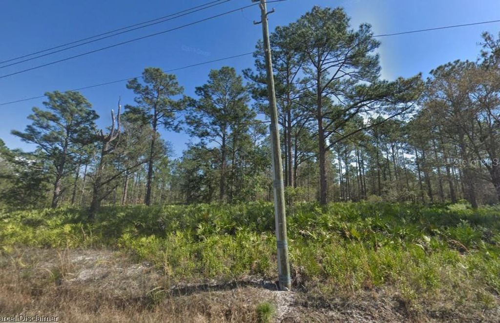 Photo of 10610 Yeager Avenue, Hastings, FL 32145 (MLS # A4690545)