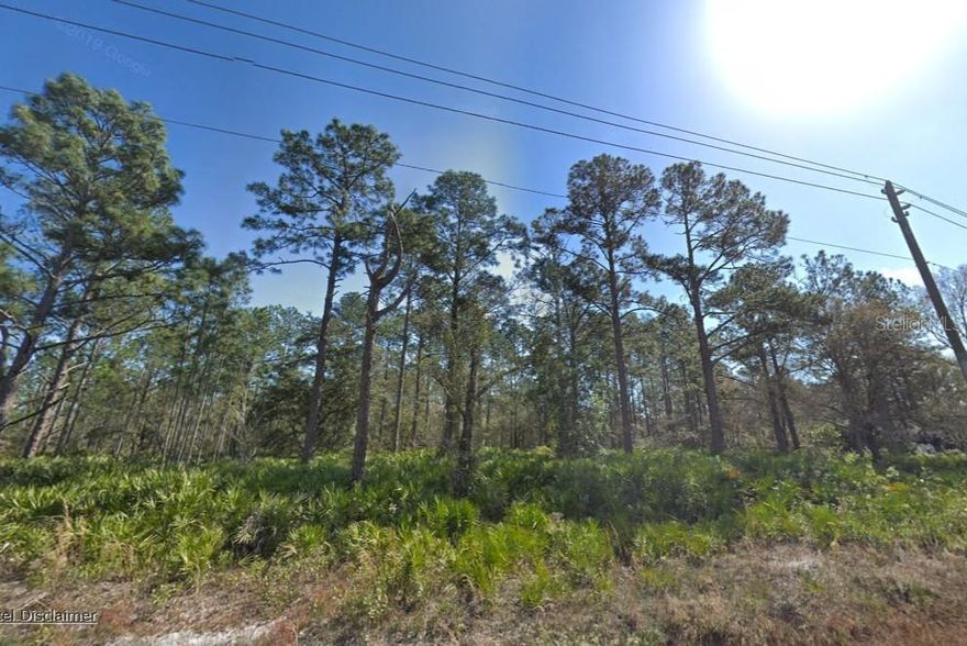 Spacious Property in Flager Estates with over an acre of land available for your homesite. Majestic Slash Pines line the property making it appealing for nature lovers. There are power lines at the road to make easy access for your connection to utilities. No HOA, high and dry with no wetlands or flood zone.