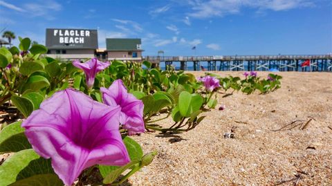 A home in PALM COAST