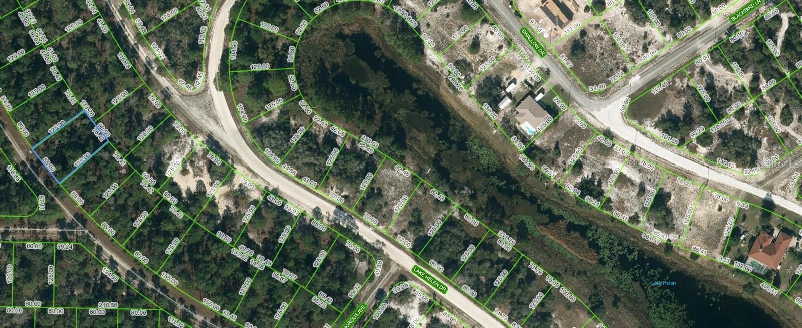 This lot in Lake Placid is in a fantastic area, just a short 10-minute drive away from Lake Grassy and approximately within a 20-minute drive to Lake Placid. This proximity to both lakes makes it an ideal location for those who enjoy recreational activities like fishing and boating. You'll have easy access to the lake, allowing you to spend quality time on the water and indulge in your favorite water-based hobbies. For car enthusiasts, the lot's proximity to the Sebring International Raceway is a dream come true. You'll be able to enjoy thrilling races and events just a short distance away from your property. Whether you're a motorsport fan or a participant, living so close to a renowned racetrack adds an exciting element to your lifestyle. Additionally, the lot offers the convenience of having shopping and dining options nearby. You'll have access to a range of stores, boutiques, and restaurants, ensuring that your everyday needs are met without having to travel long distances. Overall, this lot in Lake Placid provides a unique combination of recreational opportunities, a favorable growing environment, and proximity to exciting attractions like the Sebring International Raceway. It's an excellent location for anyone looking to enjoy the outdoors, engage in hobbies, and have easy access to amenities. Don't let this deal race on by! Invest or purchase to build your dream home today!