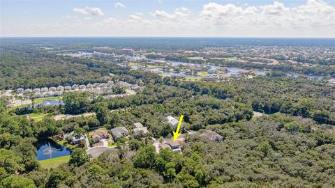 A home in PALM COAST