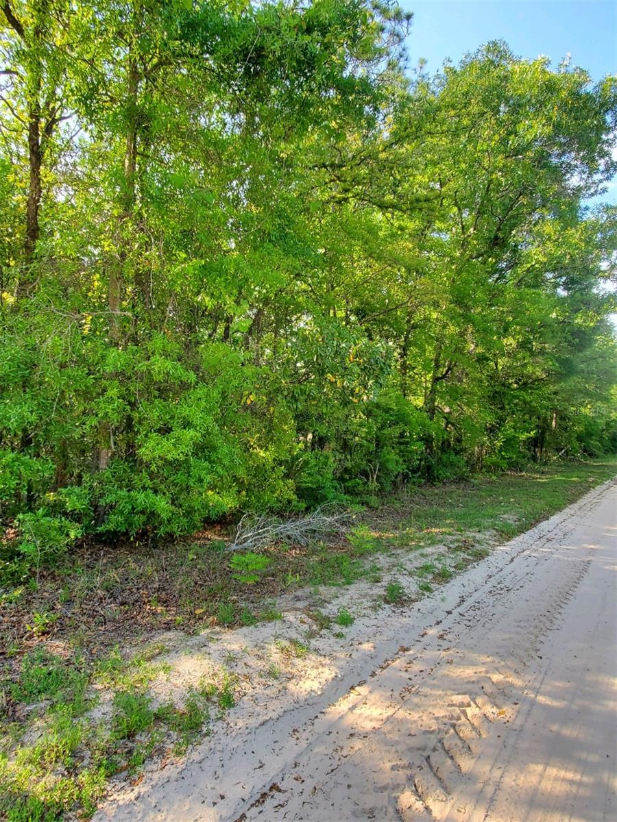 THREE RIVERS ESTATES - Land