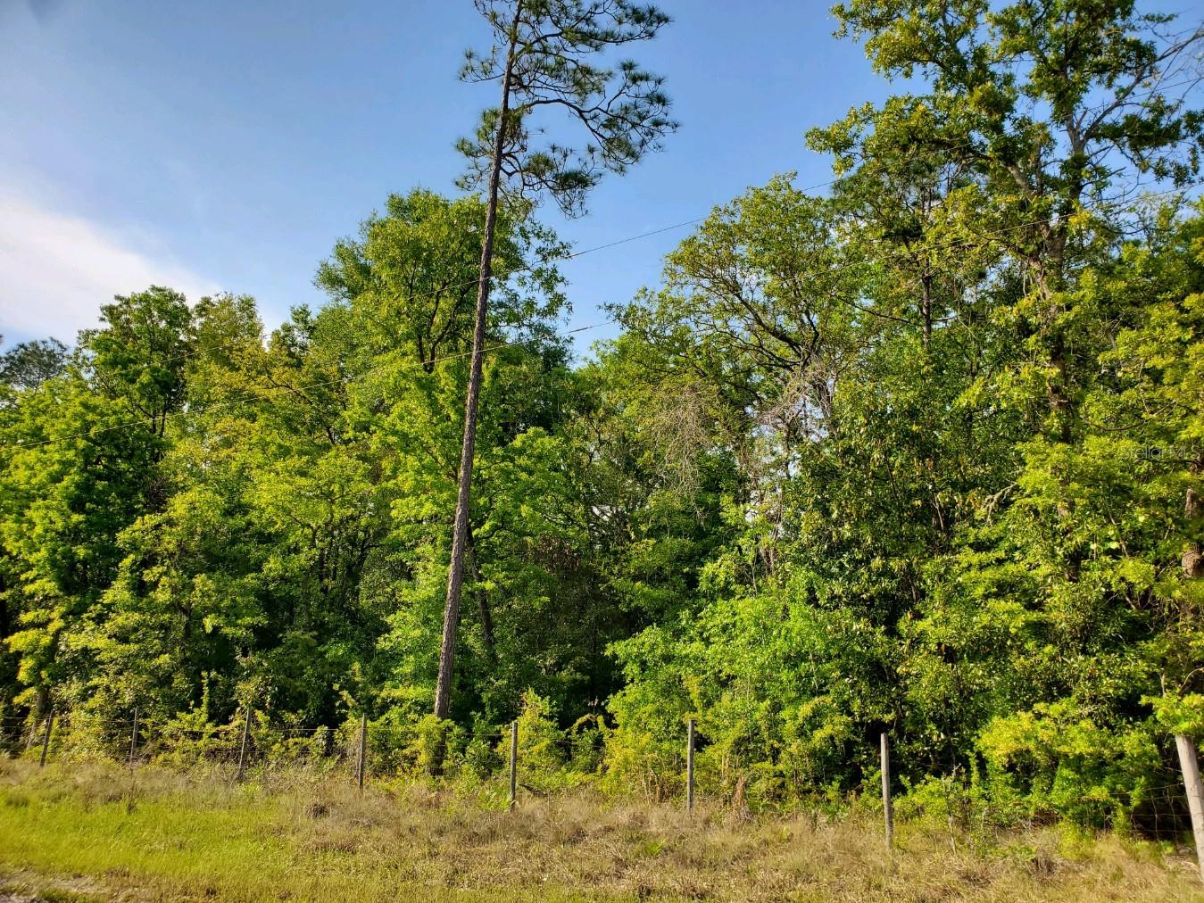 THREE RIVERS ESTATES - Land