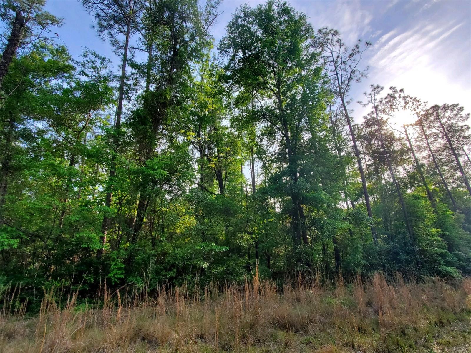 THREE RIVERS ESTATES - Land