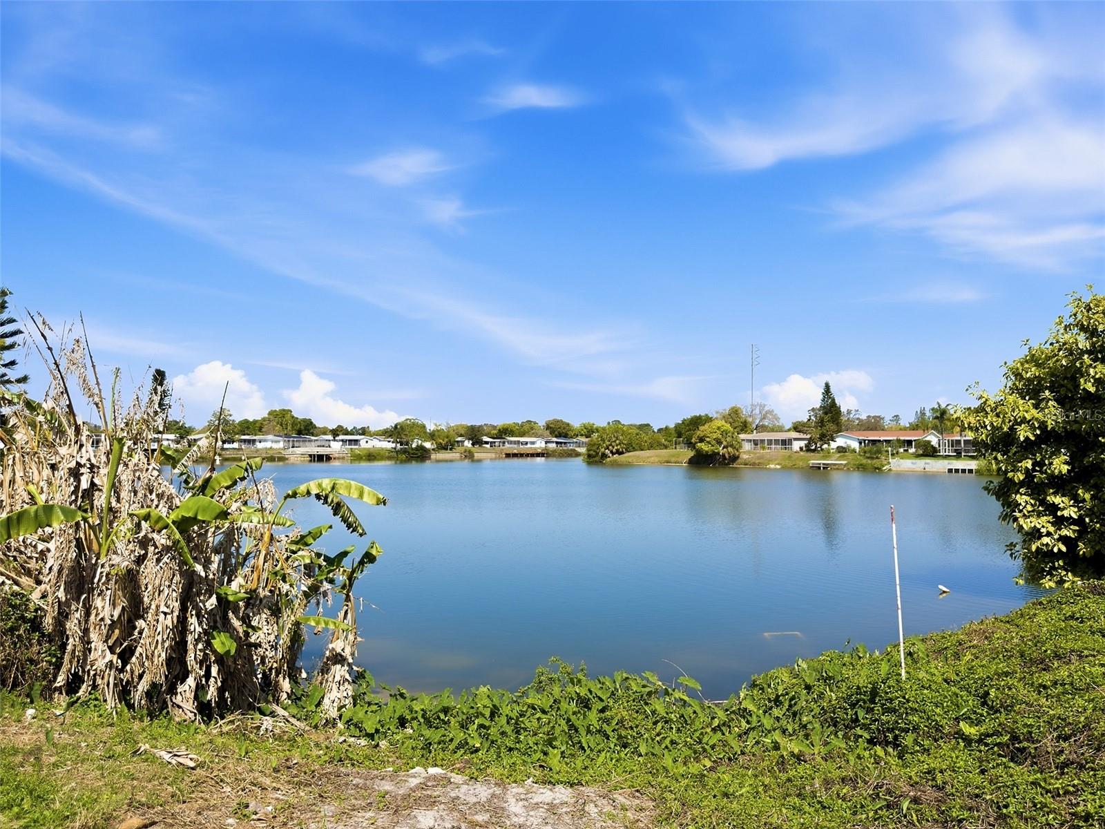 THE LAKES - Residential