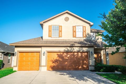 A home in WIMAUMA