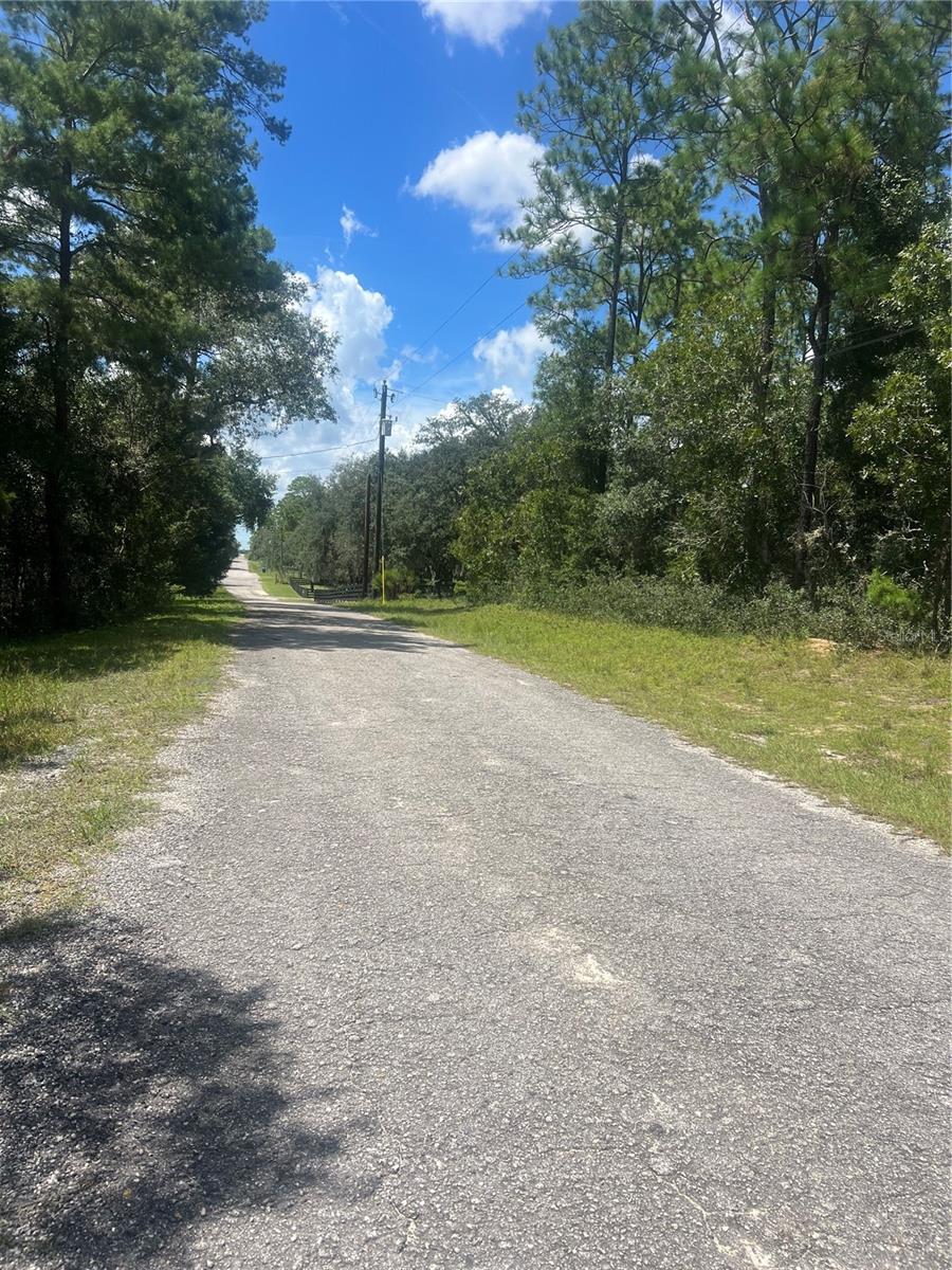 Photo of Whipperwill Street, Brooksville, FL 34601 (MLS # W7889385)