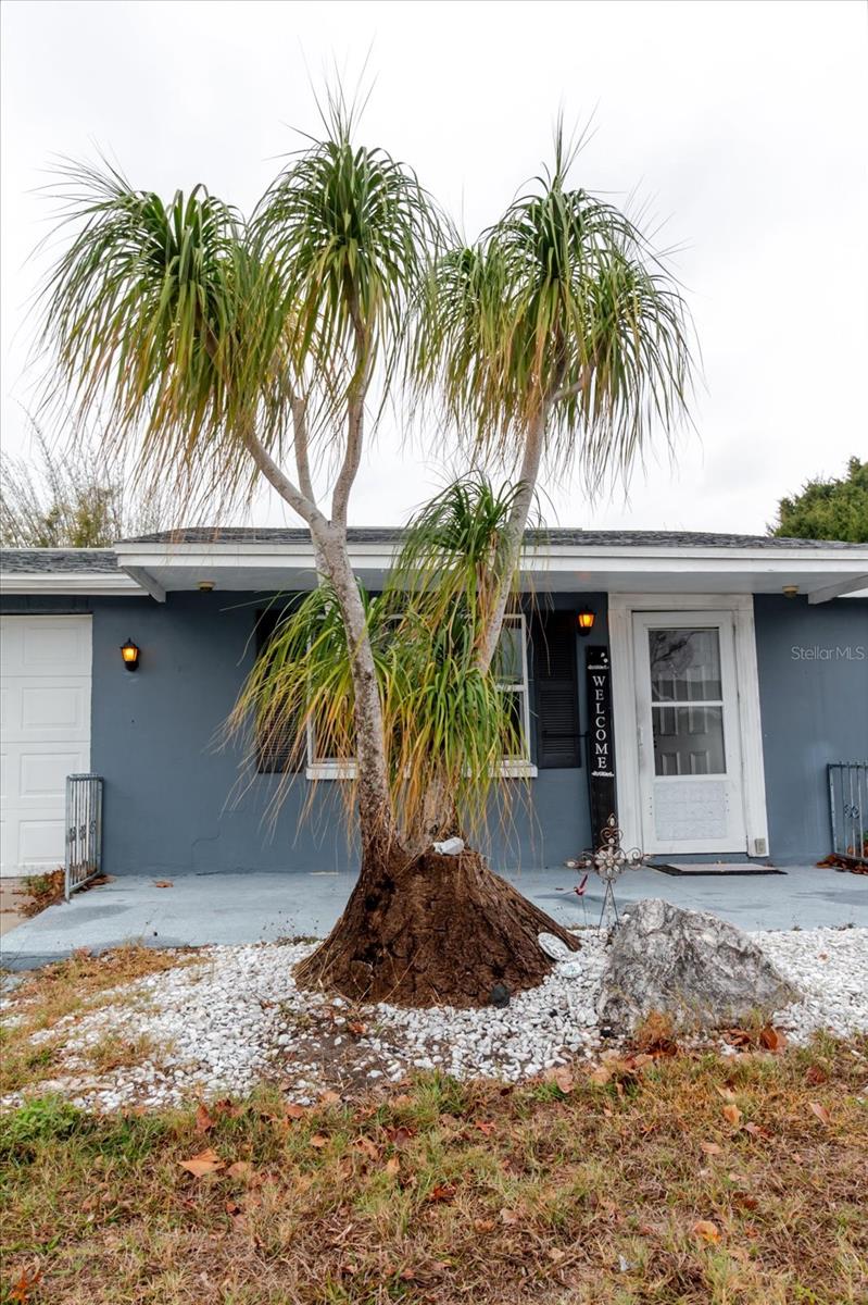 REGENCY PARK - Residential