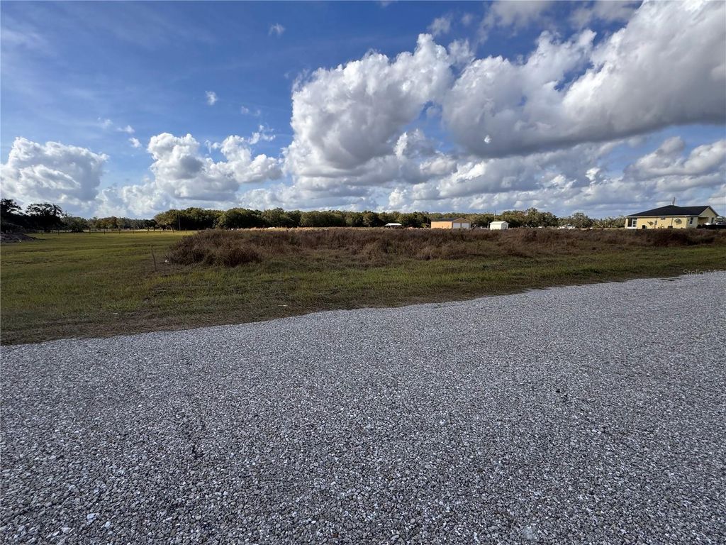 Photo of 4693 SW Provau Avenue, Arcadia, FL 34266 (MLS # C7518506)