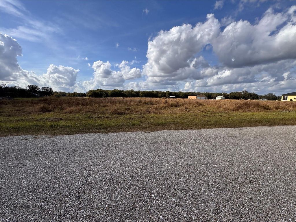 Photo of 4693 SW Provau Avenue, Arcadia, FL 34266 (MLS # C7518506)