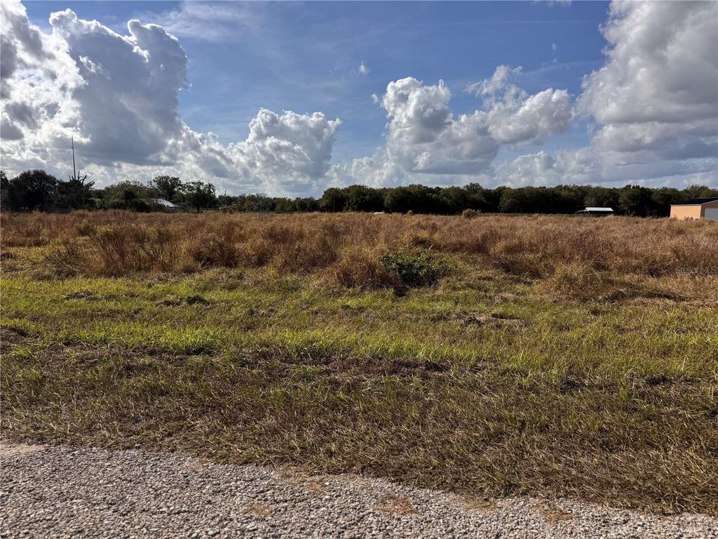 Photo of 4693 SW Provau Avenue, Arcadia, FL 34266 (MLS # C7518506)