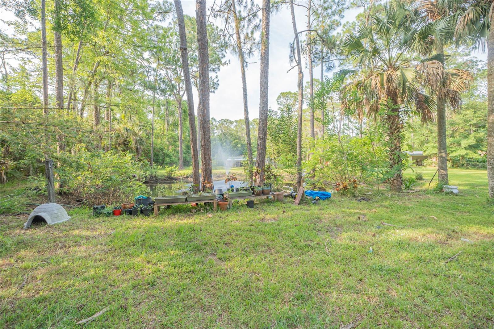TOMOKA FARMS - Residential