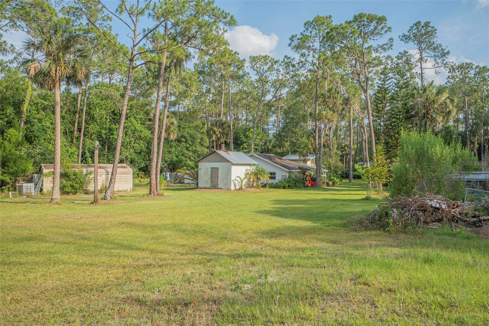 TOMOKA FARMS - Residential