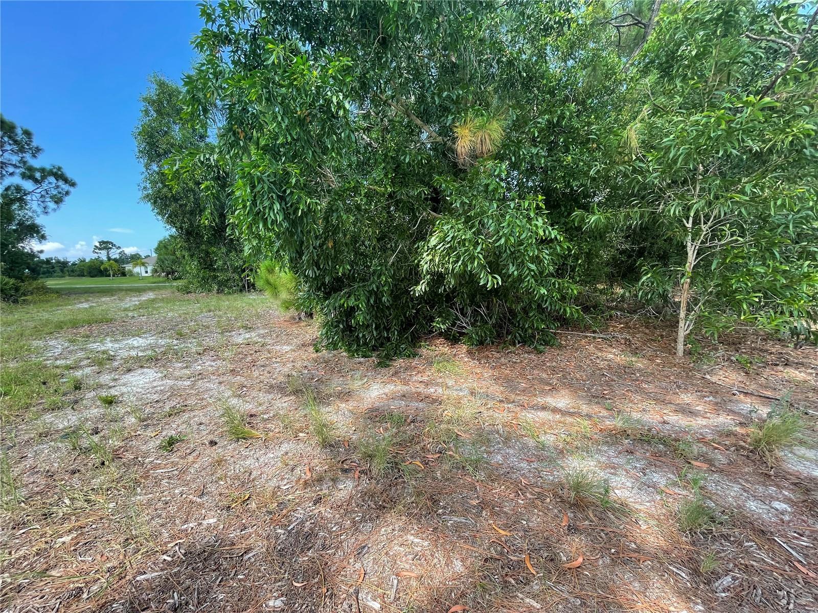 CAPE CORAL - Land