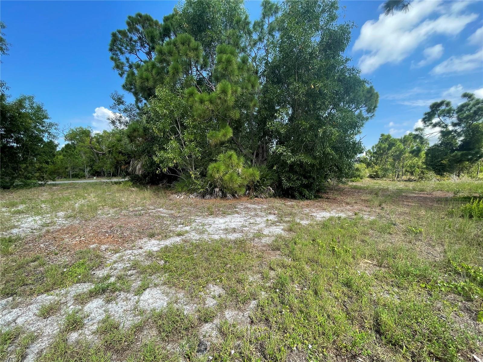 CAPE CORAL - Land