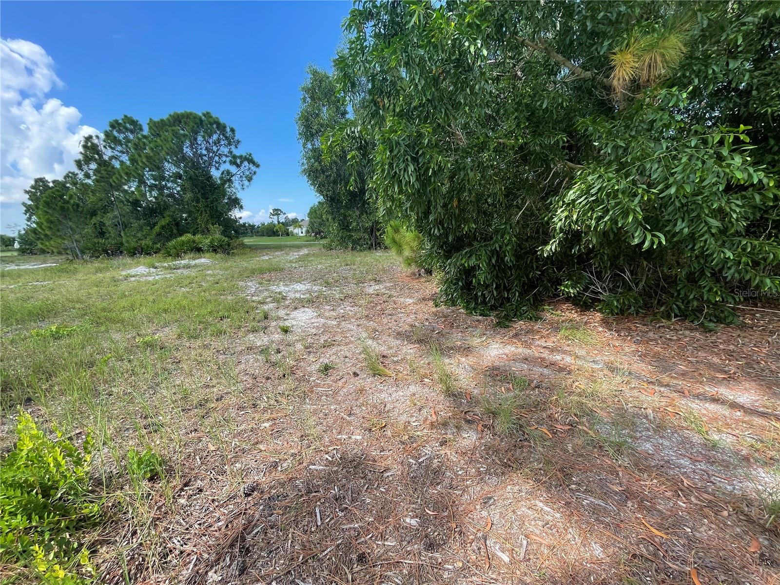 CAPE CORAL - Land