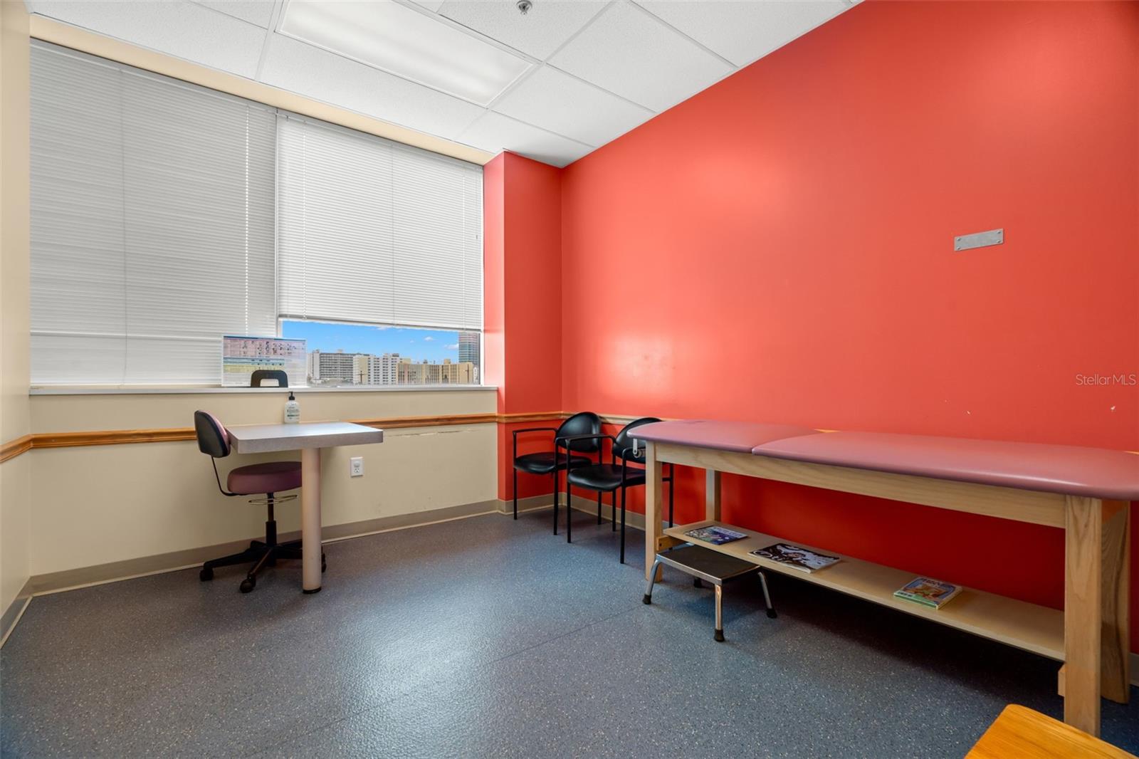 ST PETERSBURG MEDICAL COMPLEX CONDO - Commercial Sale