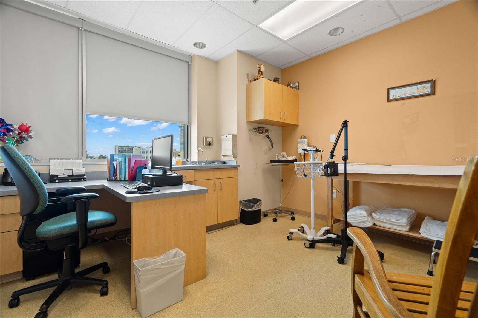 ST PETERSBURG MEDICAL COMPLEX CONDO - Commercial Sale