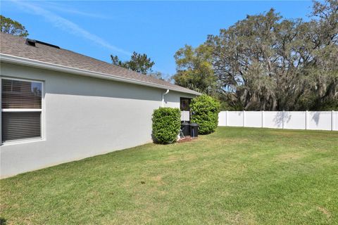 A home in MOUNT DORA