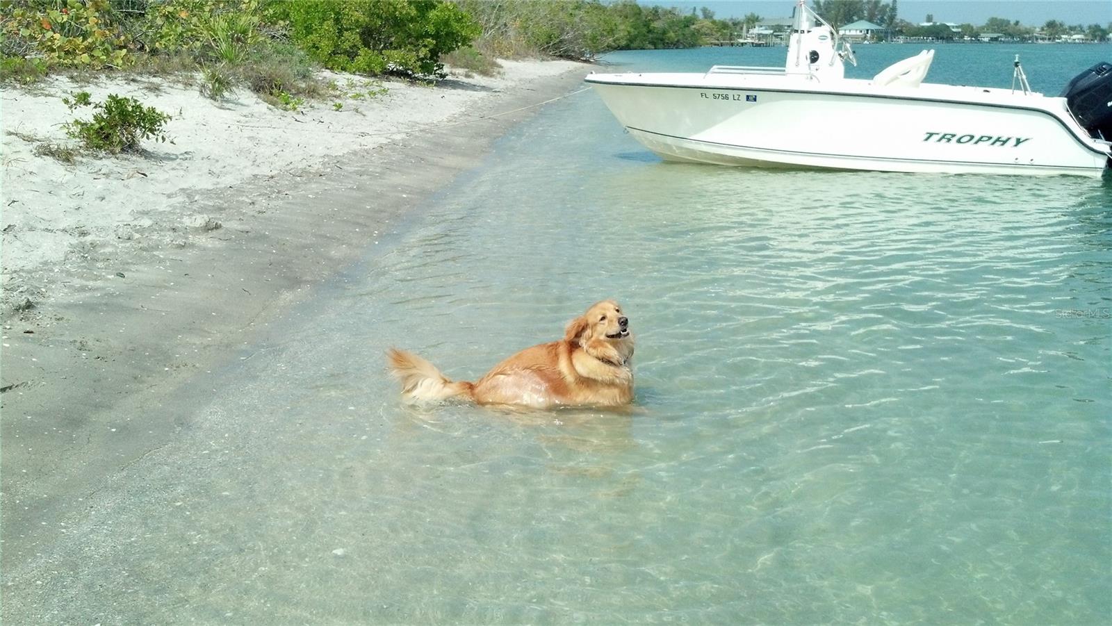 ROTONDA LAKES - Land