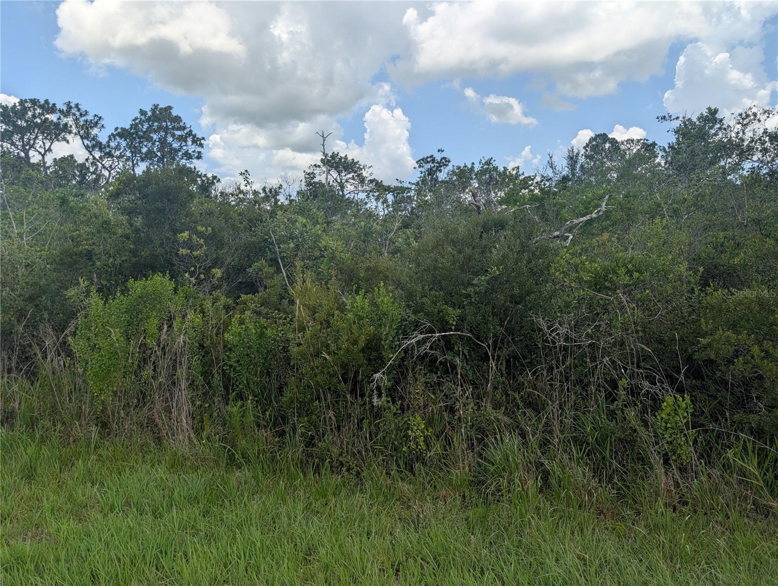 Photo 1 of 42 — 314 CAMELLIA DRIVE, INDIAN LAKE ESTATES, FL 33855