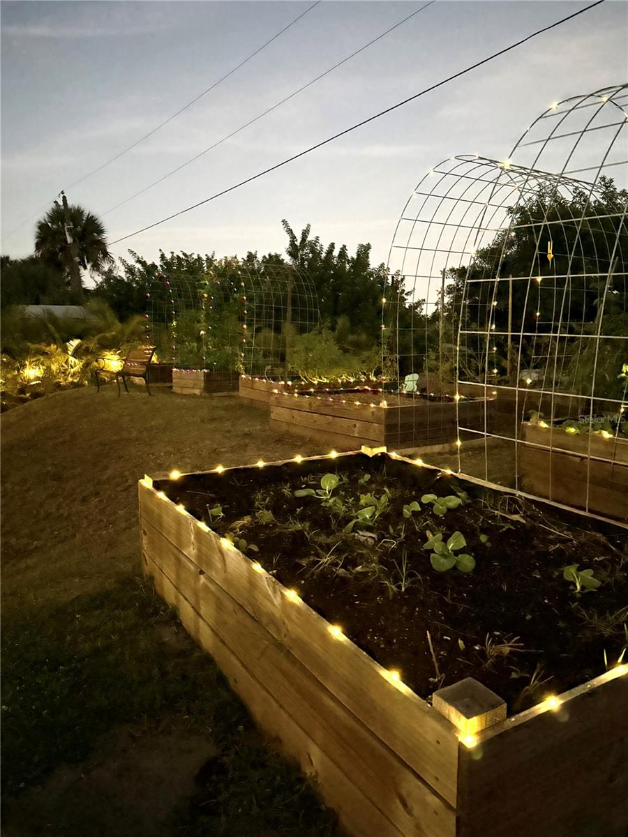 WILSON MAZE - Residential