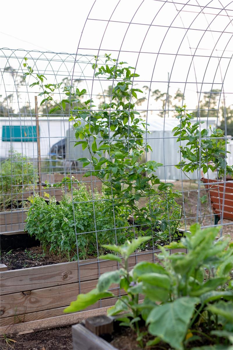 WILSON MAZE - Residential