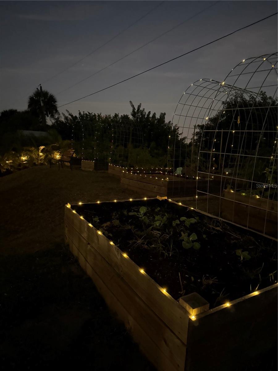 WILSON MAZE - Residential