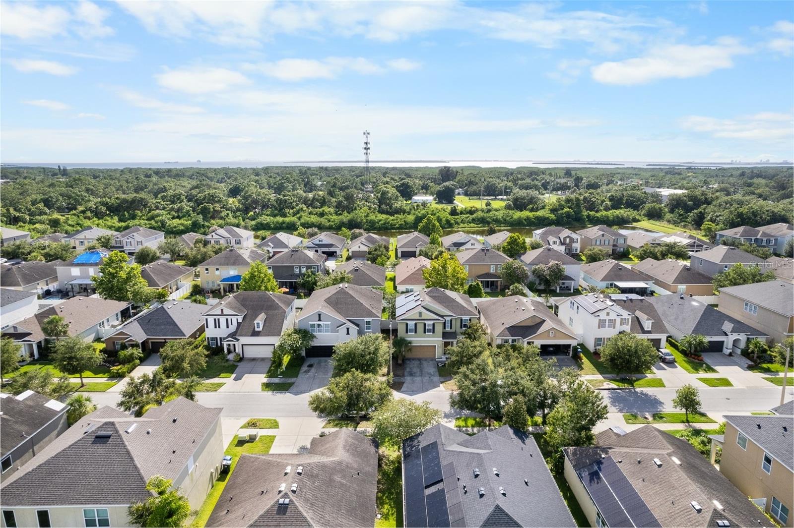 11539 TANGLE BRANCH LANE