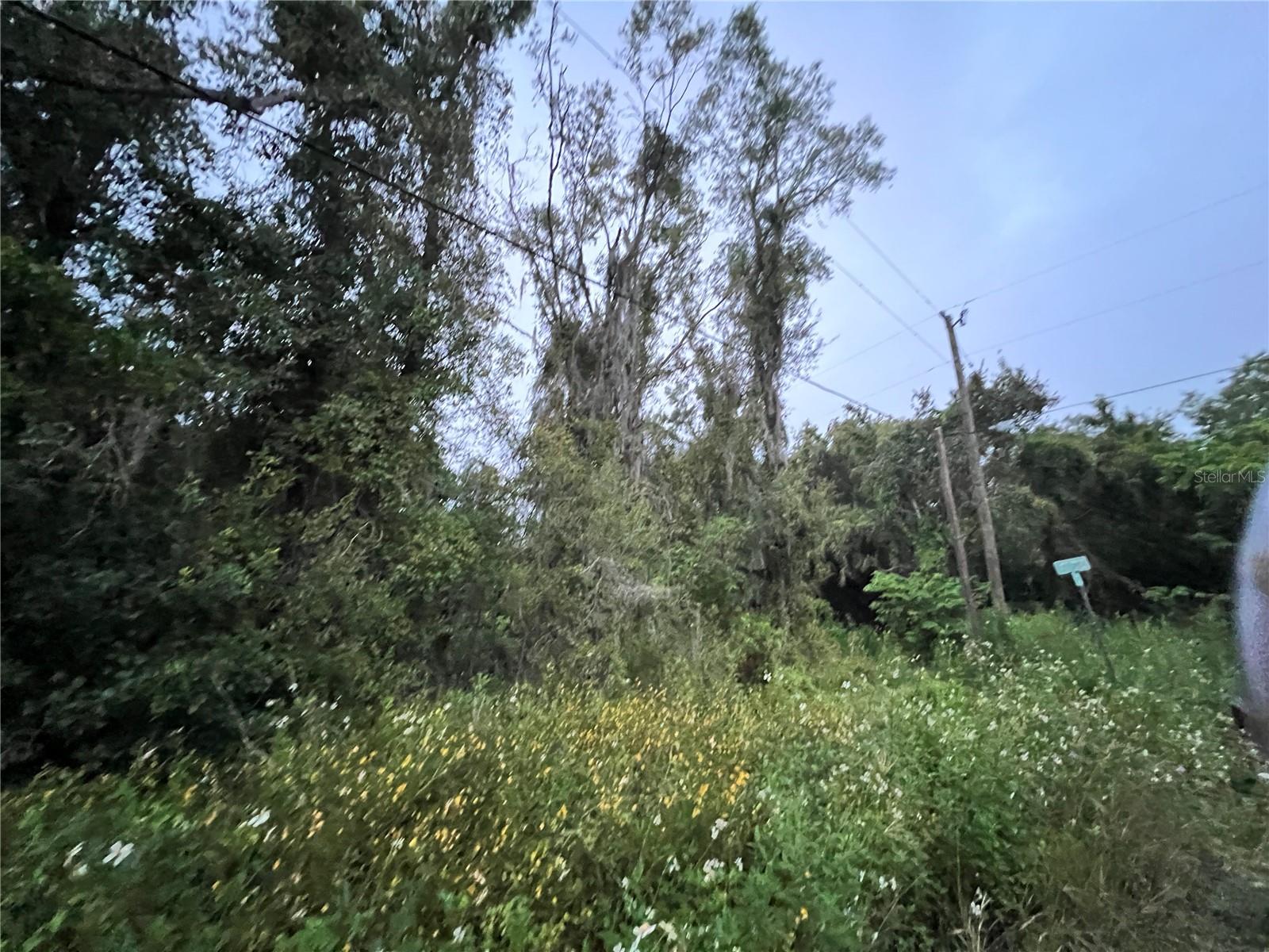 MOON LAKE ESTATES - Land