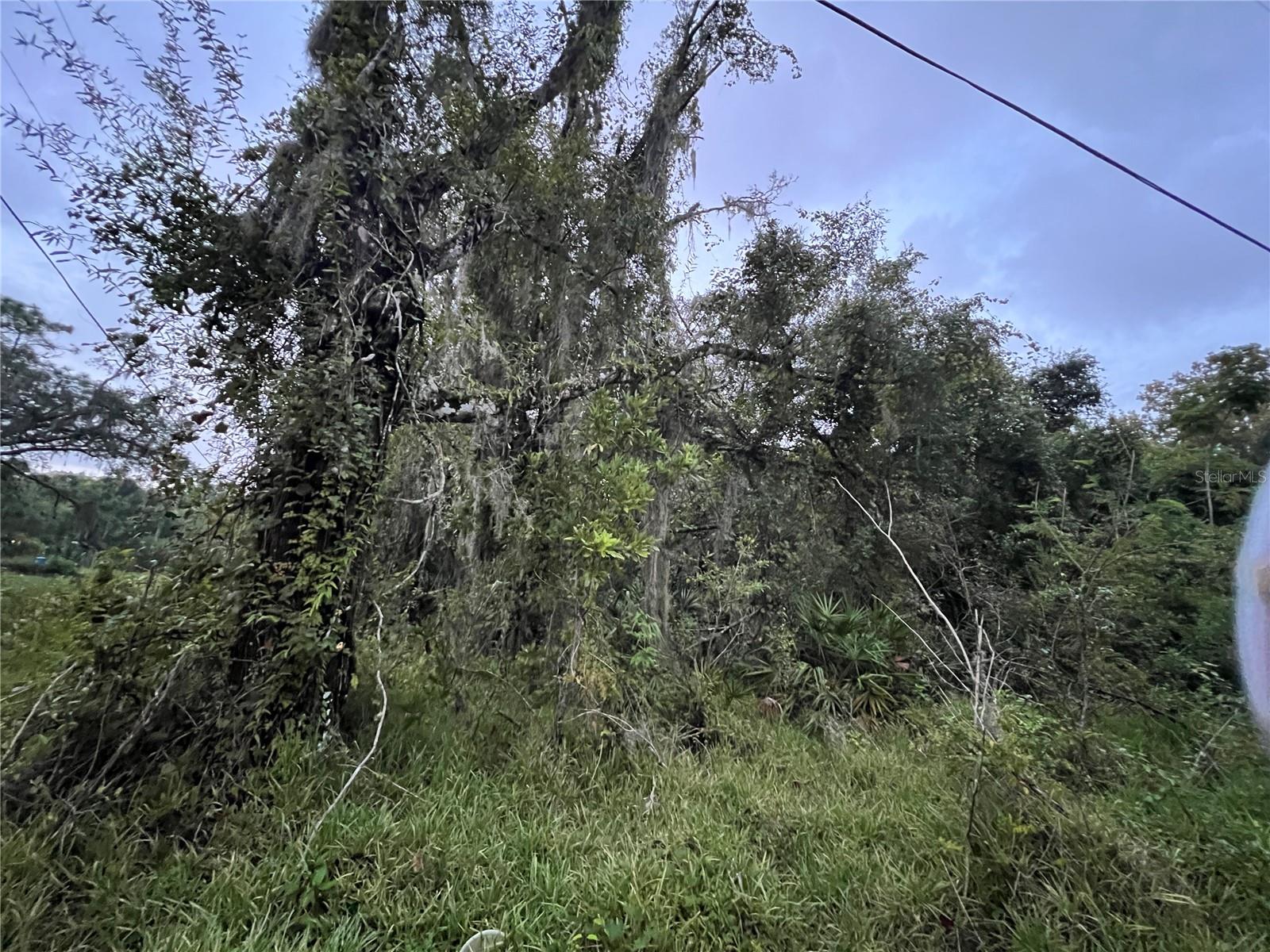 MOON LAKE ESTATES - Land