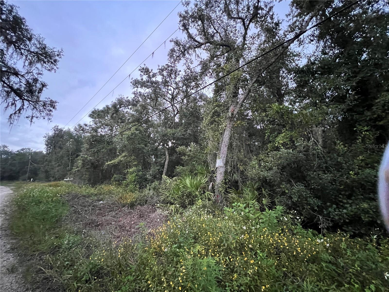 MOON LAKE ESTATES - Land