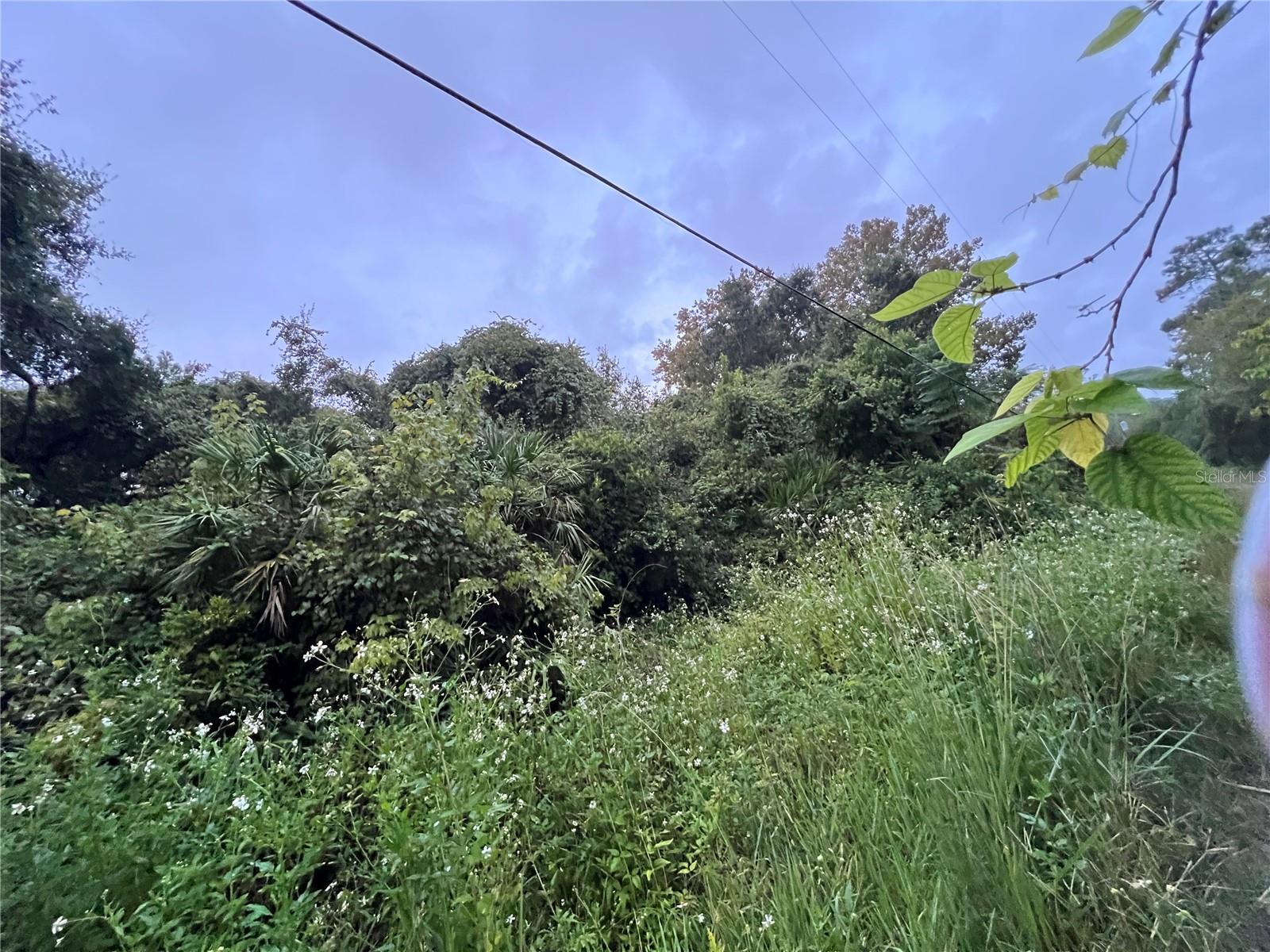 MOON LAKE ESTATES - Land